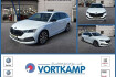 Skoda Octavia Style combi style pano/ahk/canton/headup
