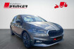 Skoda Fabia Tour tour 1.0 tsi dsg winter navi kamera