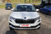 Skoda Karoq Selection dsg selection led cam pdc design paket