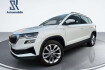 Skoda Karoq Tour 2.0 tdi dsg 4×4 tour 1.hand*ahk*led*navi*