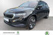 Skoda Karoq Tour tour klima navi ruckfahrkamera sitzheizung