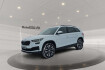 Skoda Kodiaq Tour 2.0 tdi tour 4xshz acc aut facelift led