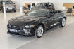Ford Mustang Fastback GT Mustang gt 5.0 ti vct v8 convertible automatik