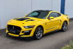 Ford Mustang Fastback GT Mustang gt coupe 5.0 v8 gt500 opt/recaro/acc/r20