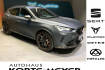 Cupra Formentor  vz5 2.5tsi dsg 4drive +dcc+acc+sitzhzg