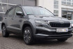 Skoda Karoq Tour tour*led*kamera*keyless*shz*