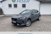 Cupra Formentor  2.0 tsi dsg 4drive acc ahk beats