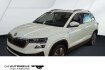 Skoda Karoq Selection 2.0 tdi dsg tour selection matrix/stand/ah