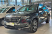 Skoda Kodiaq Sport 2.0 tdi dsg sportline *winterrader*
