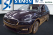 Skoda Fabia Tour 1.0 tsi dsg tour ahk navi acc shz pdc rkam