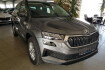 Skoda Karoq Selection tdi dsg select ahk smartlink pdc garantie 4/30 8fa