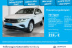 Volkswagen Tiguan IQ.DRIVE 2.0 tsi dsg 4m appconnect navi led einpar
