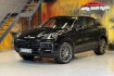 Porsche Cayenne Platinum Edition s platinum edition~pano~head up~kamera
