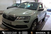 Skoda Karoq Clever clever 1.5 tsi dsg ahk navi kamera canton