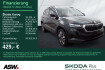Skoda Karoq Selection selection 2 0 tdi dsg led ahk 360  navi vc