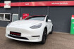 Tesla Model Y  Model y long range dual motor*1xhand