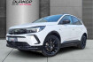 Opel Grandland Enjoy enjoy intellilux navipro sitz+lenkradheiz.