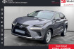 Lexus NX Business Nx 300h allrad