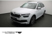 Skoda Kamiq Clever 1.0 tsi clever ruckfahrkam/led