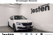 Skoda Kamiq Monte Carlo monte carlo 1.5 tsi carplay pano kam dab