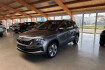 Skoda Karoq Ambition 2.0 tdi dsg ambition rfk+standheizung