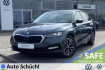 Skoda Octavia Clever combi 2.0 tdi dsg clever ahk+standheizun