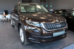 Skoda Kodiaq Style 2.0 tsi style 4×4 7 sitzer sthz kam ahk