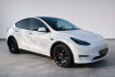 Tesla Model Y  Model y performance dual awd*