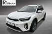 Kia Stonic Nightline Edition 1.0 t gdi dct nightline edition + sitzheizung