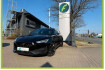 Cupra Leon  leon  leon rufa memory full link