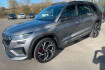 Skoda Kodiaq RS rs 4×4 vollleder ahk standhz pano 360 dcc