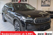 Skoda Kodiaq Selection 2.0 4×4 pano matrix sthz ahk 19&prime; 5j garan
