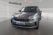 Skoda Kodiaq Selection 1.5 tsi mhev 7sitzer ahk/leder/pano/matrix