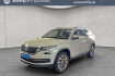 Skoda Kodiaq Clever 2.0 tdi dsg standheizung ahk