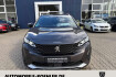 Peugeot 3008 GT gt bluehdi 130 eat8 ahk  kamera dab navi