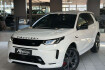 Land Rover Discovery Sport SkyView Edition Discovery sport r dynamic /meridian/carplay/kam