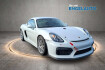 Porsche Cayman  gt4 rennsportfahrzeug mwst.!!!