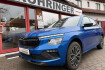 Skoda Kamiq Selection 1.0selection klimaauto winterpaket kamera led lich