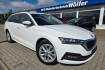 Skoda Octavia First Edition combi first edition ahk top ausstattung
