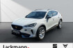 Cupra Formentor  1.5 *ahk*voll led*mediasystemplus*