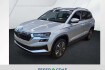 Skoda Karoq Tour tour 2.0 tdi dsg ? ahk ? smart link