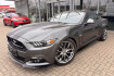 Ford Mustang Fastback GT Mustang mustang 5.0 ti vct v8 aut. gt