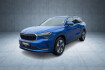 Skoda Kodiaq Selection selection 1.5 tsi navi/acc/eheck/memory