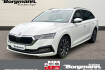 Skoda Octavia Style combi style 2 0 tdi ? dachreling ? sitzheizung ?