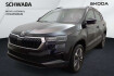 Skoda Karoq Tour tour 2.0 tdi dsg *ahk*led*navi*kam*17?*