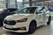 Skoda Fabia Tour 1.0 tsi tour *inkl. alu winterrader*