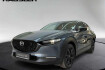 Mazda CX-30 NAGISA Cx 30 nagisa x 186 mit bose  ruckfahrkamera & acc