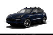 Porsche Cayenne Platinum Edition innodrive led matrix soft close 21 zoll