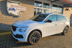 Skoda Kamiq Selection selection black smart link kam led shz