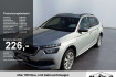 Skoda Kamiq Tour tour 1.0 tsi keyless klimaa sitzheizung
